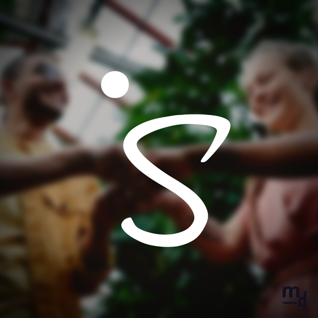 Identité visuelle - Conseil RH - Marine Delanneau Communication