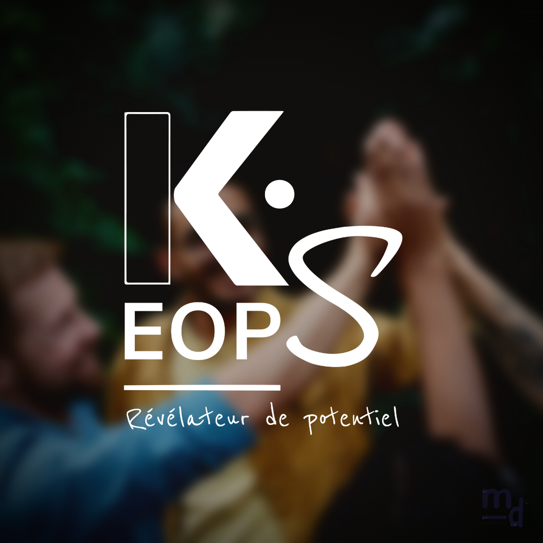 Identité visuelle - Conseil RH - Marine Delanneau Communication