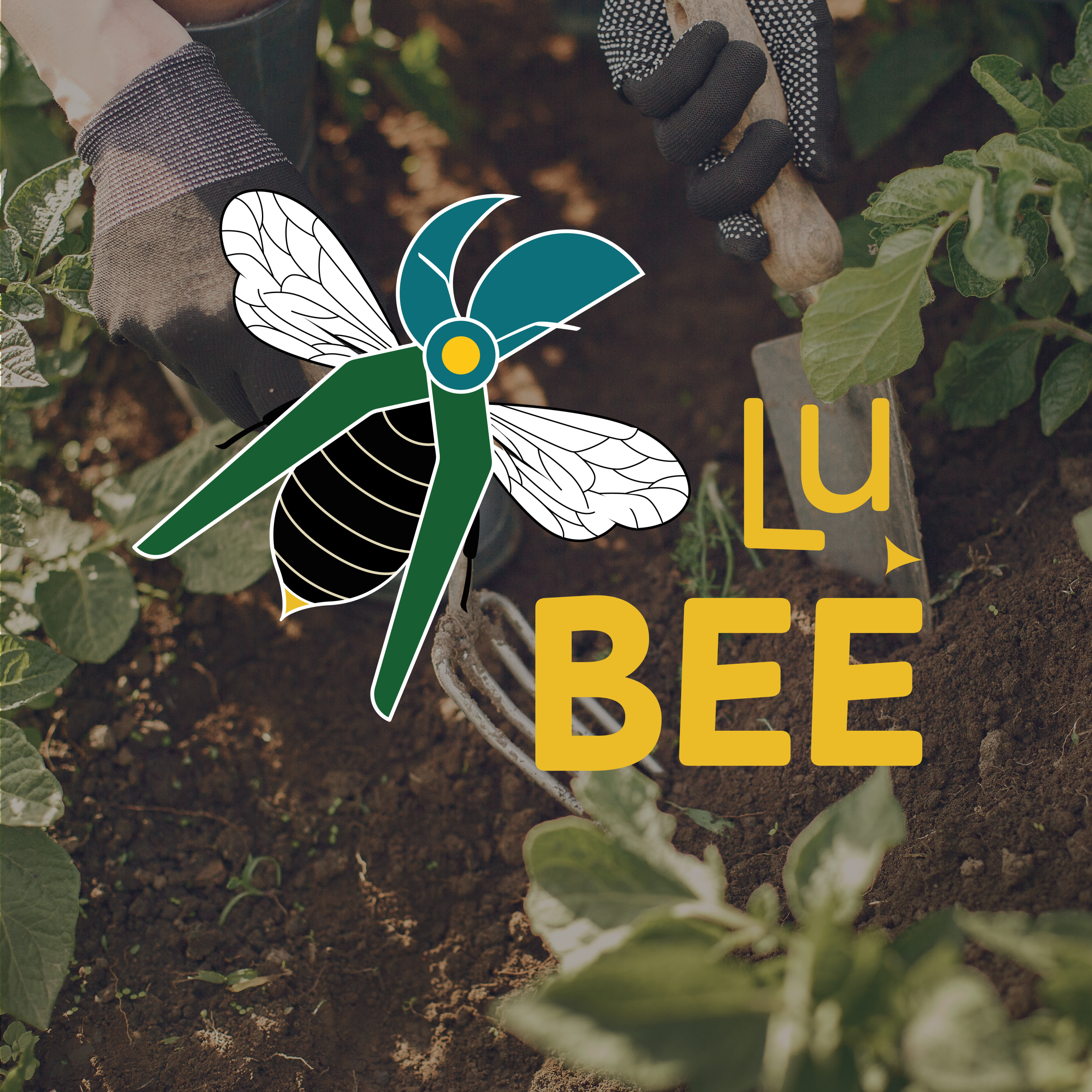 Identité visuelle - logo apicultrice - Marine Delanneau Communication