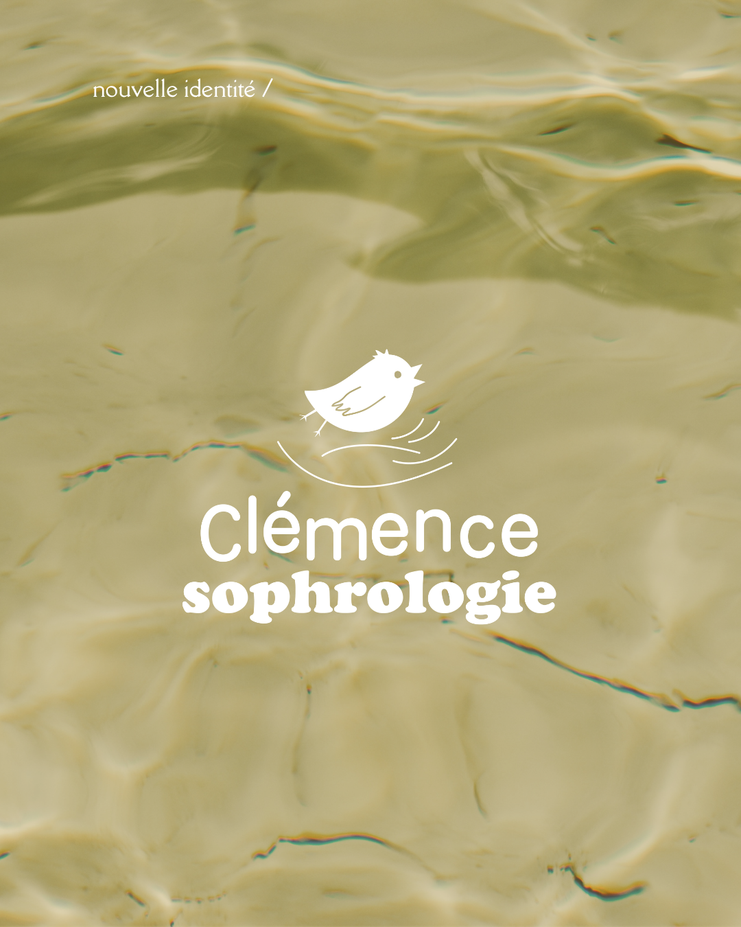 Identité visuelle - logo - vidéaste - Marine Delanneau Communication