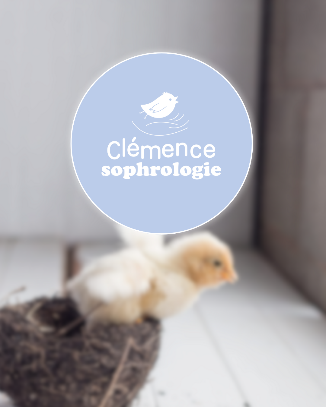 Identité visuelle - conception logo vidéaste - Marine Delanneau Communication